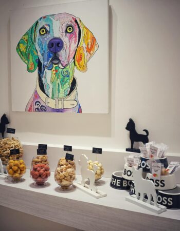 Hotel Principe Rimini