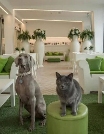 Hotel Principe Rimini